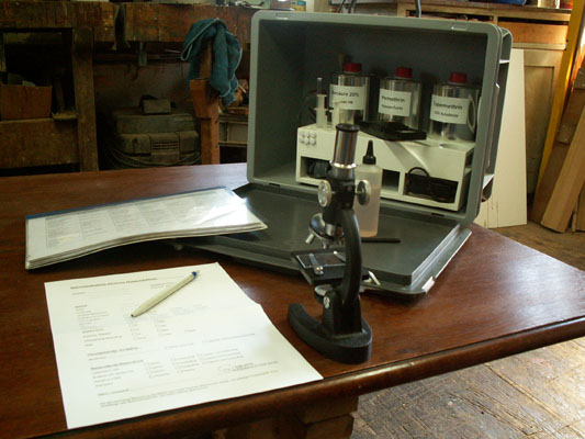 Holzschaedlings-Bestimmung-Mikroskop-Analyse-Holzwurm-Zuerich